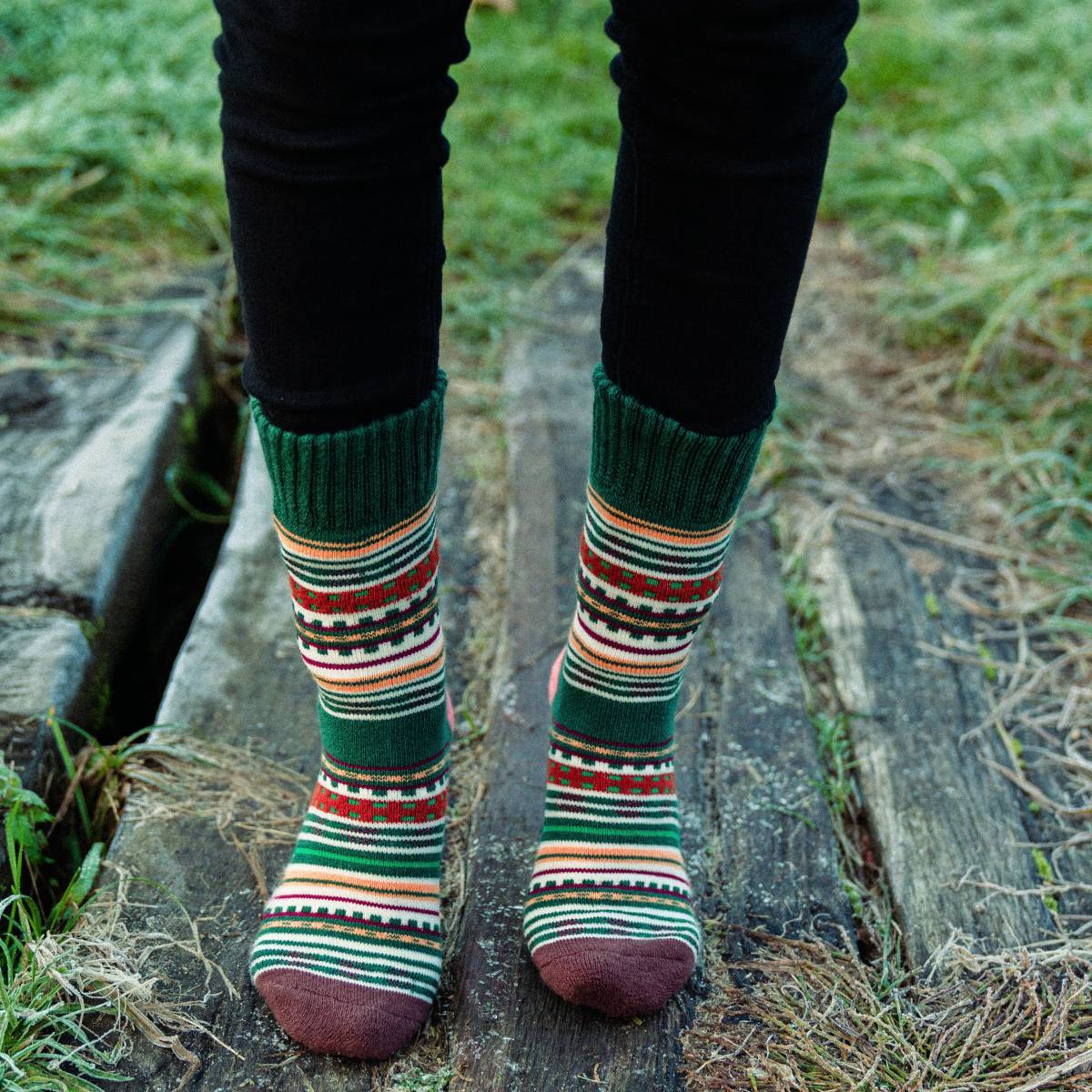 Espen (5 pairs)- The Nordic Socks